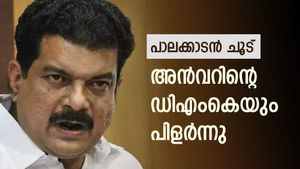 അന്‍വറിന്റെ ഡിഎംകെയിലും പിളർപ്പ്; ജില്ലാ സെക്രട്ടറി പാർട്ടി വിട്ടു, സ്വതന്ത്രനായി മത്സരിക്കും