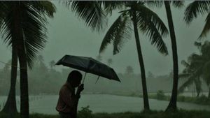വേനല്‍മഴയില്‍ റെക്കോഡ്; മണ്‍സൂണില്‍ കോട്ടയത്ത് മഴ കുറഞ്ഞു