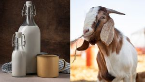 ആട്ടിന്‍പാലിനും ഇറച്ചിക്കും വില കുതിച്ചുയരുന്നു.. പാലിന് 100 രൂപ, ഇറച്ചിക്ക് 900!