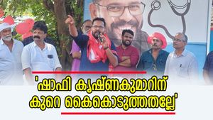 'രാഹുലിന്റെ മനസിലിരിപ്പ് ജനത്തിന് മനസിലായി, സതീശന് കോൺഗ്രസുകാർ മുട്ടൻ പണി കൊടുക്കും'; പി സരിൻ
