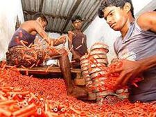 சிவகாசி அருகே பட்டாசு ஆலையில் பயங்கர விபத்து- 5 பேர் பலி