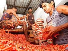 தொழிலாளர்களின் வாழ்க்கைக்கு வழி கேட்கும் பட்டாசு