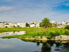 ஒரு ஏரி.. சில மனிதர்கள்.. காத்திருக்கும் பறவைகள்!