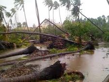 'தானே' புயல்-புதுவைக்கு ரூ.2,500 கோடி நிதியுதவி கேட்டு மத்திய அரசிடம் அறிக்கை