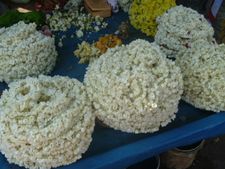 மணம் மயக்கும் மதுரை மல்லிக்கு காப்பிரைட் அந்தஸ்து!