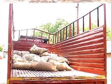 2.5 டன் ரேஷன் அரிசி கடத்தல்.. தூத்துக்குடியில் 5 பேர் கைது