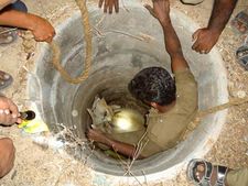 கிணற்றுக்குள் தவறி விழுந்த பசு மாடு... கயிற்றைக் கட்டி வெளியே தூக்கிய தீயணைப்பு வீரர்கள்