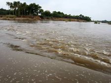 கனமழை: வைகையில் வந்த வெள்ளம்.... விவசாயிகள்... மக்கள் மகிழ்ச்சி