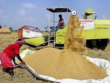 வேலூர்: நெல் அறுவடை இயந்திரத்தில் சிக்கி சிறுமி பலி