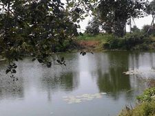 தமிழகத்தில் ஏமாற்றிய பருவமழை: குறைந்து போன நிலத்தடி நீர்மட்டம்