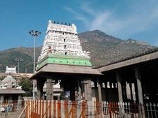 திருவண்ணாமலை மலைகளில் இரும்புத்தாது எடுக்க 'டிம்கோ' புது விண்ணப்பம்! மீண்டும் வெடிக்கிறது பிரச்சனை!!