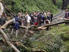 நீலகிரியில் கனமழை: மரம் விழுந்து 2 பெண்கள் பலி... இயல்பு வாழ்க்கை பாதிப்பு