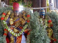 சித்திரை திருவிழா தேரோட்டம்: மதுரை, மானாமதுரை, சங்கரன்கோவிலில் கோலாகலம்