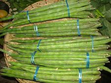 முருங்கை பவுடர் தொழிற்சாலை கேட்கும் விவசாயிகள்.... பாக்கியராஜ் முதல்வரானால்தான் சாத்தியமாகும் போல...