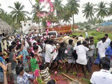 ஜல்லிக்கட்டுக் காளை அப்பு மரணம்.. பல ஊர் மக்கள் திரண்டு வந்து அஞ்சலி!