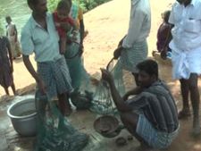 காவிரி ஆற்றில் மீன்பிடிக்கும் கரூர் மீனவர்களின் சோகக் கதை!