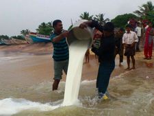 தூத்துக்குடியில் சுனாமி நினைவலைகள்... கடலில் பால் ஊற்றி மக்கள் வழிபாடு