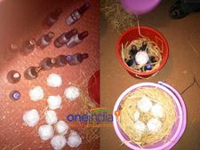 மீனவர் வீட்டில் 23 நாட்டு வெடிகுண்டுகள் பறிமுதல்: கன்னியாகுமரி அருகே பரபரப்பு 