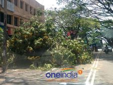 பெங்களூரில் இடி மின்னலுடன் கூடிய பேய் மழை: சென்னைக்கு திருப்பிவிடப்பட்ட 4 விமானங்கள்