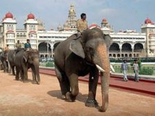 மைசூரு தசரா விழா - ஜம்பு சவாரி யானைகளுக்கு பிரியா விடை கொடுத்தனர் மக்கள்!