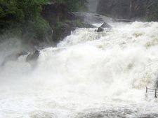 நெல்லை, குமரியில் பருவமழை தீவிரம் - 5 பேர் பலி; அருவிகளில் குளிக்கத் தடை
