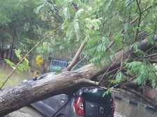 வடியாத வெள்ளம்... கண்ணீரில் தத்தளிக்கும் கடலூர் மக்கள்- அமைச்சர்கள் ஆய்வு