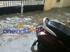 விடாமல் வெளுத்த மழை... தீவாக மாறிய தூத்துக்குடி - விஷ ஜந்துக்கள் படையெடுப்பால் மக்கள் பீதி