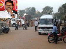 தடையை மீறி ஜல்லிக்கட்டு நடத்த முயற்சி - அலங்காநல்லூர் அருகே சீமான் கைது! 
