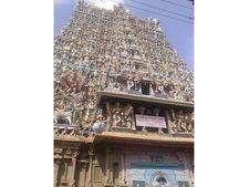 ”உண்ணா நோன்பிருந்து” உயிர் நீத்த நாரை- மதுரை மீனாட்சி கோவிலில் திரும்பிய சரித்திரம்!