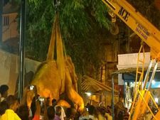 மதுரை கூடலழகர் கோயில் யானை உயிரிழப்பு: பக்தர்கள் கண்ணீர் மல்க அஞ்சலி !