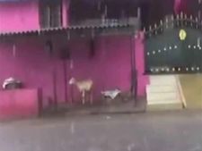  சேலத்தில் திடீர் மழை... மகிழ்ச்சியில் மூழ்கிய பொதுமக்கள்- வீடியோ