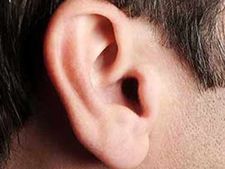 கோவில் விழா பத்திரிக்கையில் அமைச்சர் பெயர் போடாதது ஏன்? செயல்அலுவலரை தாக்கி செவிடாக்கிய அதிமுகவினர்