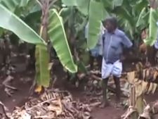 பெரிய காலடித்தடங்கள்... மர்ம விலங்கு நடமாட்டம்... வீட்டிற்குள் முடங்கிய மக்கள்- வீடியோ