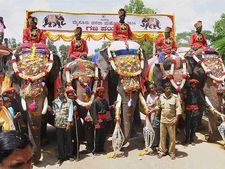 மைசூர் தசரா யானைகளுக்கு ரூ.32 லட்சத்தில் இன்சூரன்ஸ்