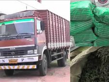 ஆந்திராவில் இருந்து கேரளாவிற்கு 300 கிலோ கஞ்சா கடத்தல்... தேனியில் 2 பேர் கைது- வீடியோ