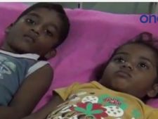 பாதாம் என நினைத்து ஆமணக்குகொட்டைகளை சாப்பிட்ட 12 குழந்தைகள்... மருத்துவமனையில் அனுமதி- வீடியோ