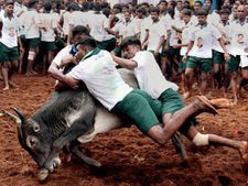 அலங்காநல்லூரில் ஜல்லிக்கட்டு நடக்குமா? மதுரை ஆட்சியரை முற்றுகையிட்டு போராட்டக்காரர்கள் ஆவேசம்