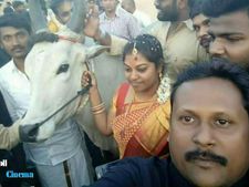திருமணம் முடித்த கையோடு ஜல்லிக்கட்டு போராட்டத்துக்கு காளையோடு வந்த மணமக்கள்!! 