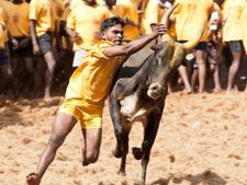 ஜல்லிக்கட்டுக்கு அனுமதி மறுப்பு.. அரியலூர் அருகே கிராம மக்கள் சாலை மறியல்