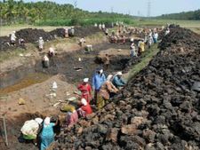  வீட்டில் கழிப்பறை இல்லைன்னா ஊரக வேலைவாய்ப்புத் திட்டத்தில் வேலை கிடையாதாம்!