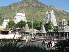 மே 10-இல் சித்ரா பௌர்ணமி... திருவண்ணாமலைக்கு 2,100 சிறப்பு பேருந்துகள் 