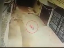 3-வது மாடியில் இருந்து தூக்கி வீசப்பட்ட 18 மாத கைக்குழந்தை..நெஞ்சை பதற வைக்கும் வீடியோ! 