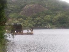 பருவமழை தீவிரம்... அருவிகளில் கொட்டும் தண்ணீர் - அணைகளில் ஜிவ்வென உயரும் நீர்மட்டம் 