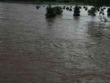  மேற்குத் தொடர்ச்சி மலை பகுதிகளில் கனமழை... வராக நதியில் வெள்ளப்பெருக்கு! 