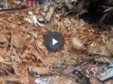தொடர் மழை... வீடு இடிந்து விழுந்து 5 பேர் பலியான சோகம் - வீடியோ