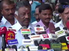 டெங்கு கட்டுக்குள் தான் இருக்கிறது... சொல்வது துணை முதல்வர் ஓபிஎஸ் - வீடியோ