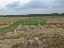  தண்ணீர் இல்லாம செத்தோம், இப்ப மழை வந்தும் சாவுறோம்... கதறும் காவிரி டெல்டா விவசாயிகள்!