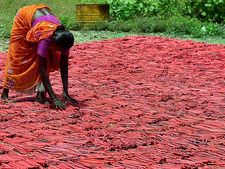  நான்காவது நாளாக தொடரும் பட்டாசு உற்பத்தி ஆலைகள் வேலைநிறுத்தம்.. தொழிலாளர்கள் அவதி 