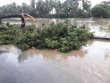 யானைப்பசிக்கு சோளப்பொறி தான் அரசு காட்டும் பாதிப்பு கணக்கு... குமுறும் குமரி விவசாயிகள்! 