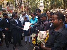 இந்துத்துவா அமைப்பினர் திருமணம் செய்து வைத்த நாய்க்கும் ஆட்டுக்கும் விவாகரத்து கேட்டு பரபர மனு! 